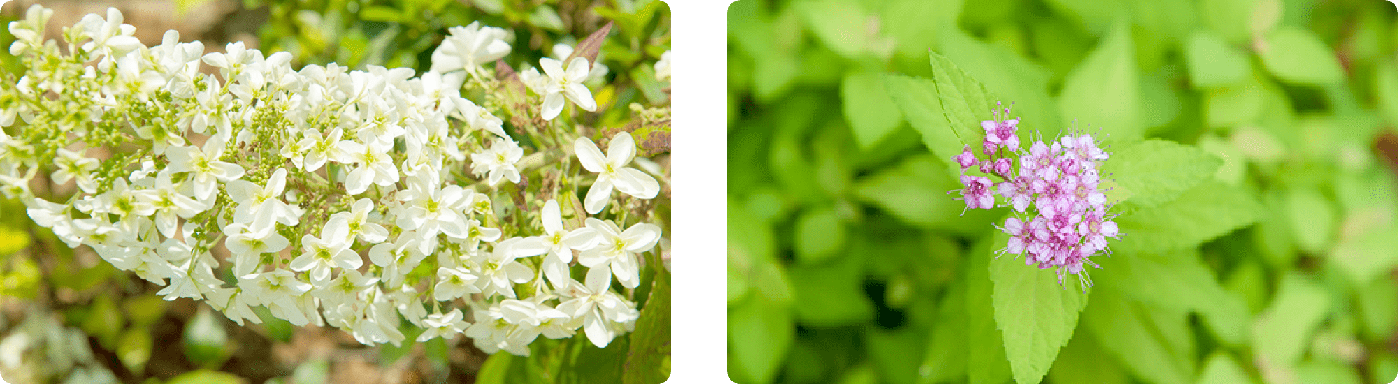 四季折々の花に包まれゆったり、のんびりとした時間を。